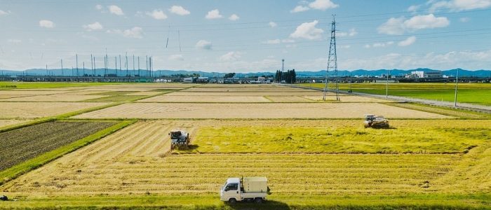 LINE_ALBUM_2023.2.7_230213_1